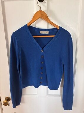 Everlane Royal Blue V-Neck Button-Up Cardigan